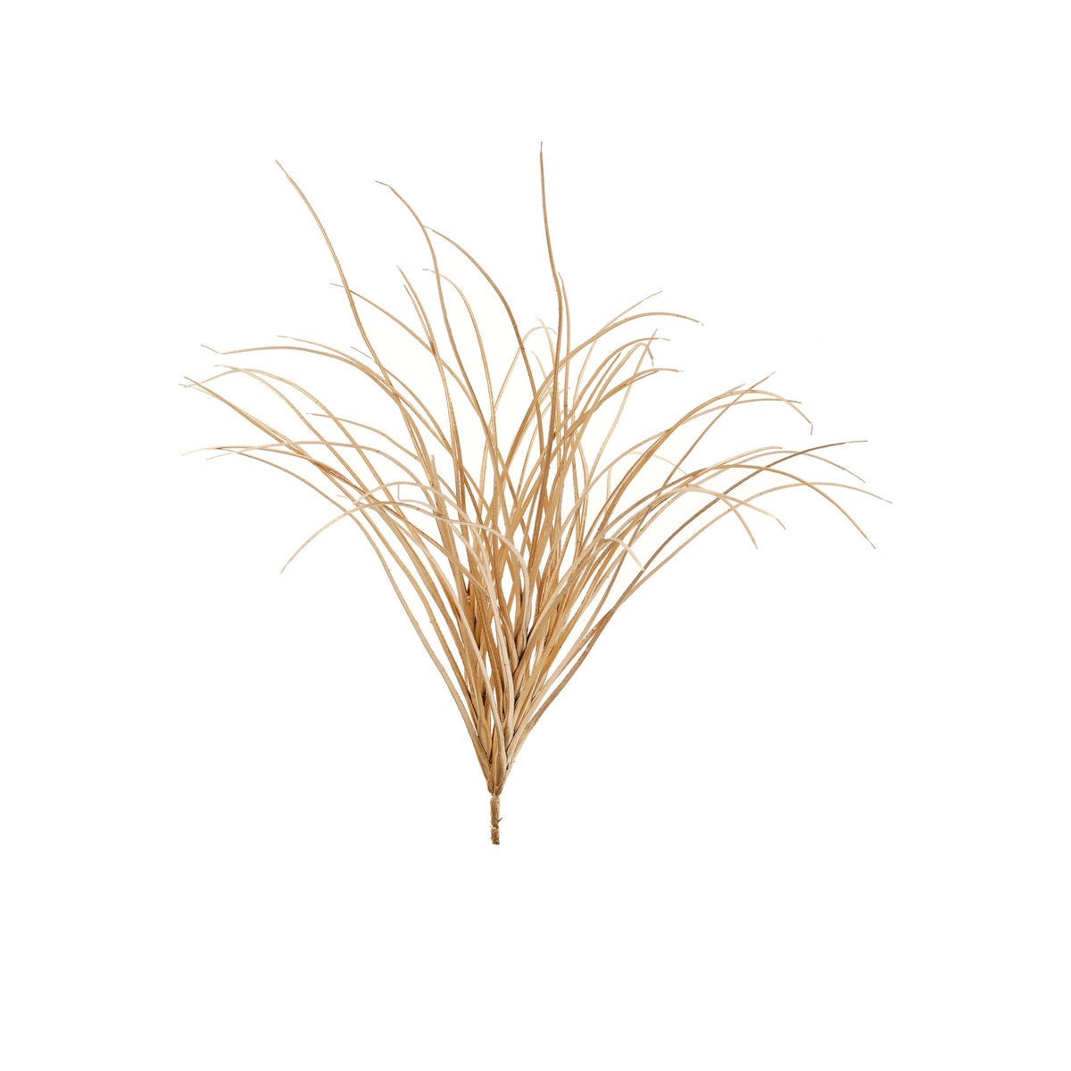 Grass Bush Metallic Gold