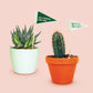 Plant Flags-5 Pack