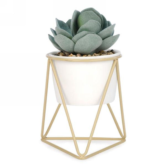 Succulent on Beige Metal Stand