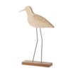 Wooden Sandpiper Bird