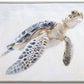 Art Tranquil Turtle 32x40