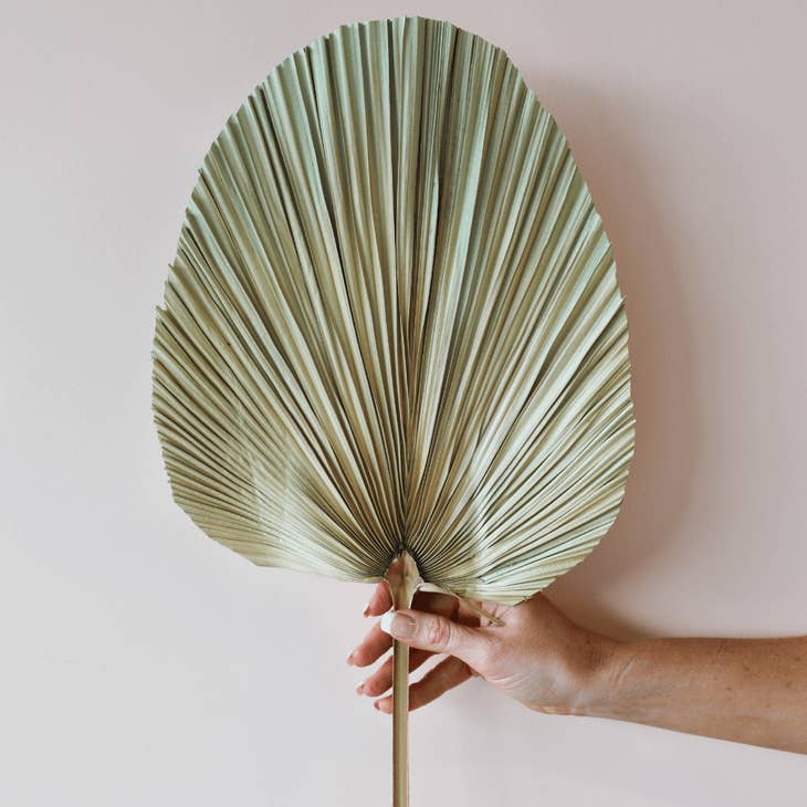 Small Palm Leave Fan