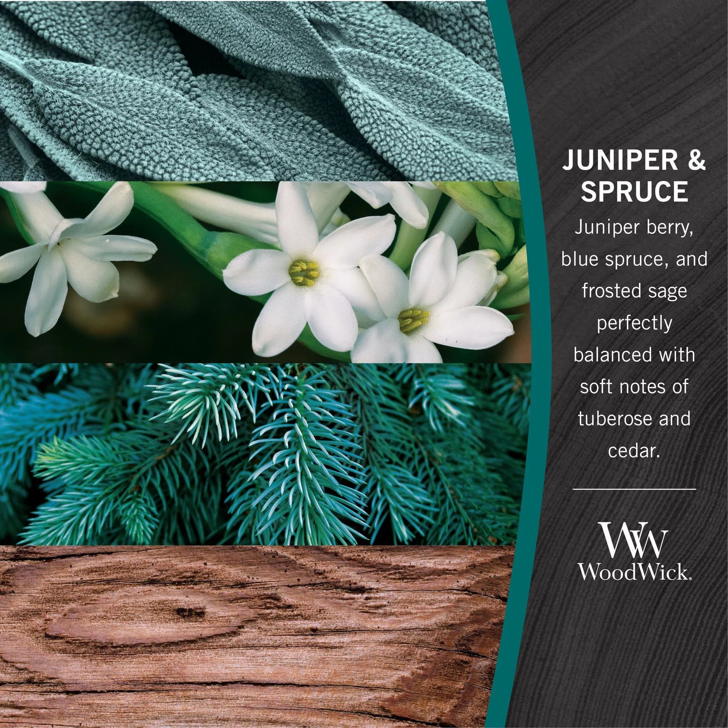 WW HWF Juniper Spruce
