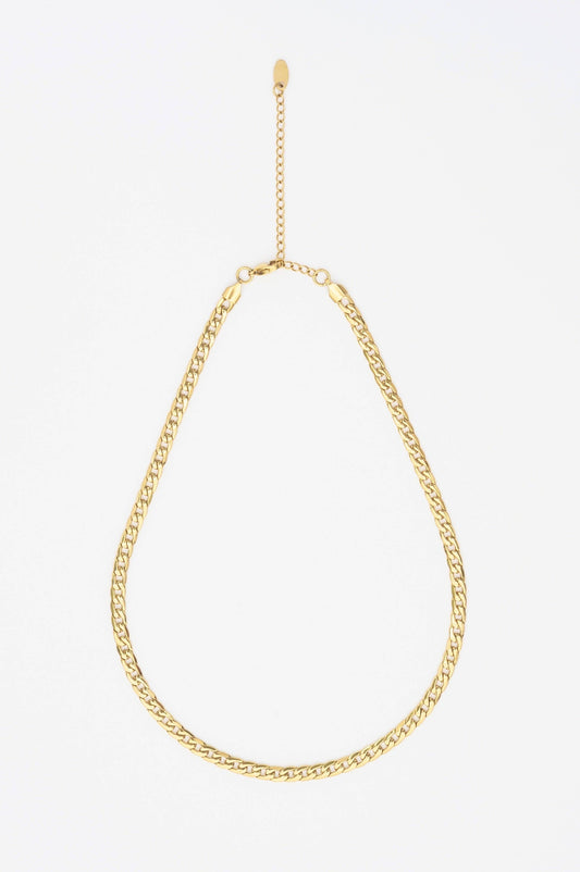 Brenda Grands Waterproof Necklace Curb Chain