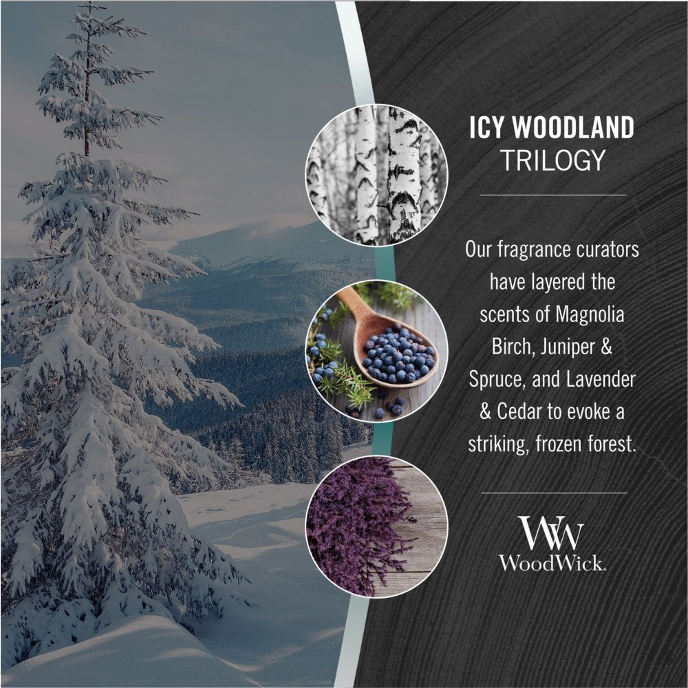 WW MED Trilogy Icy Woodland