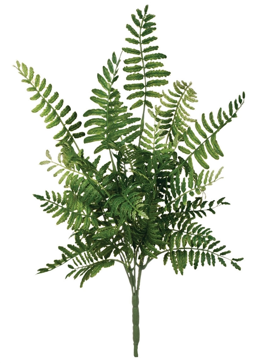 FERN PICK