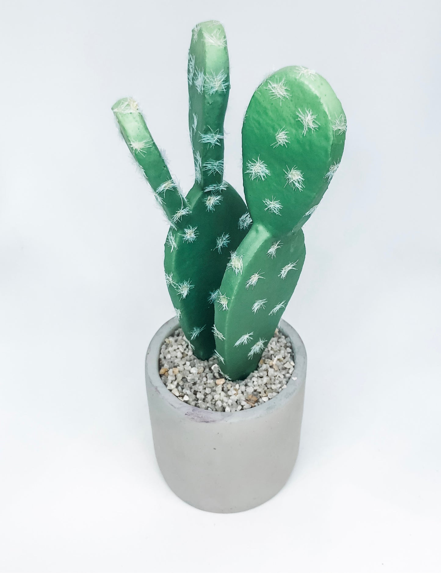 RND Pot GRN Cactus 7-10