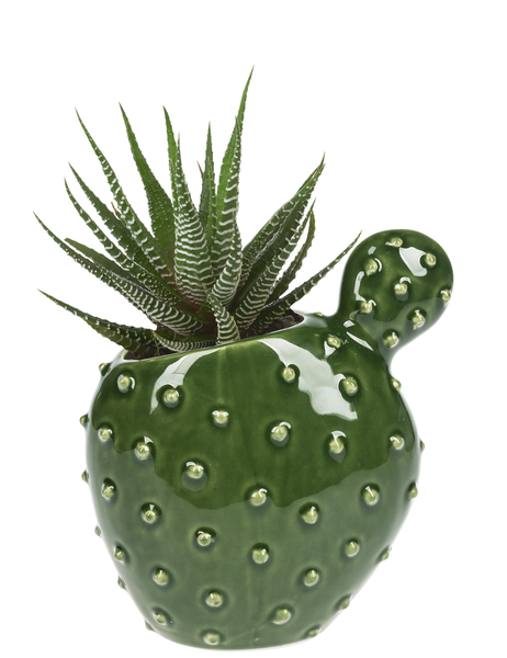 Cactus Vase Stoneware