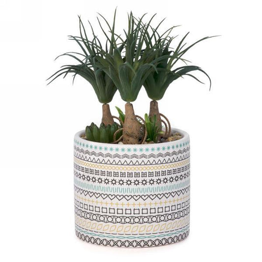 Foliage Plant in Patterned Pot