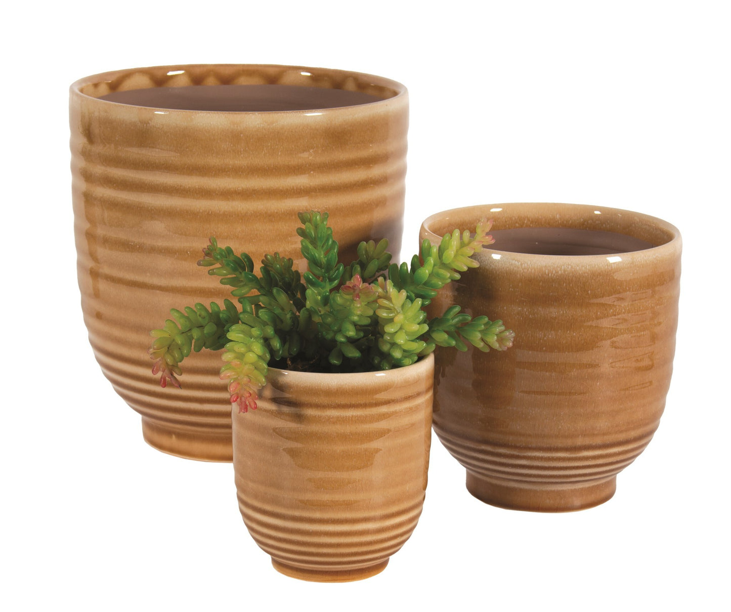 SETof3 Pots Wheat