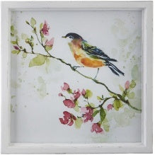 12" Watercolor Bird Framed Print #2