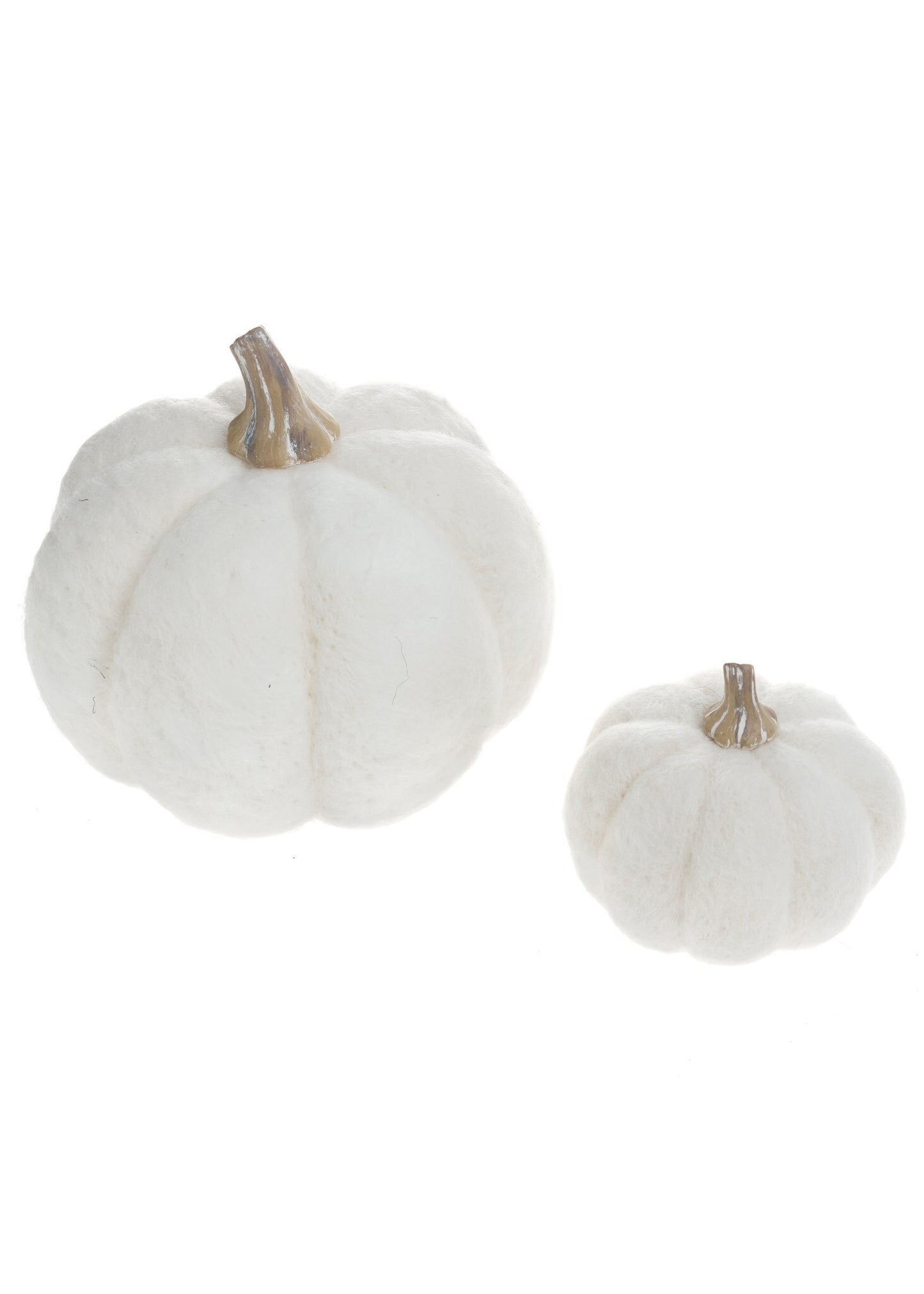 SM Pumpkin Wool White