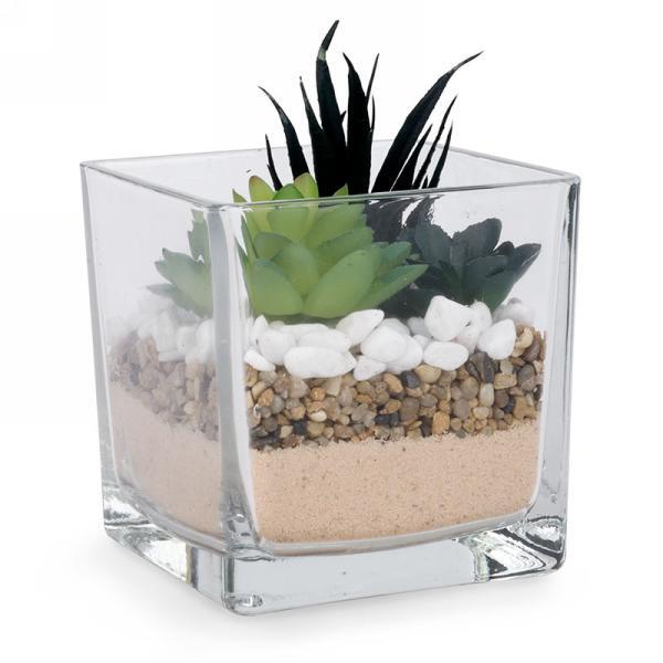 Succulent in Square Clear Glass Pot