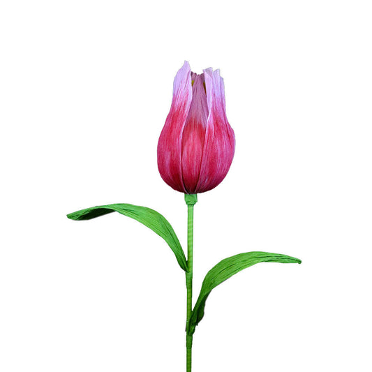 Extra Large Light Pink Tulip
