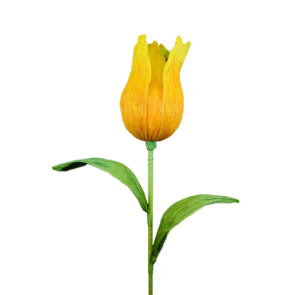 Extra Large Yellow Tulip