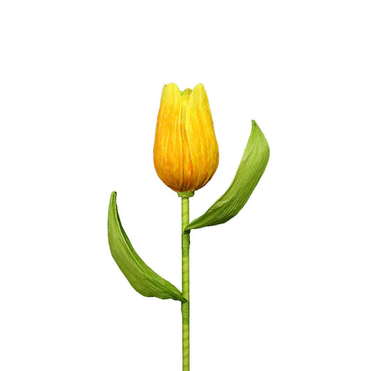 Large Yellow Tulip