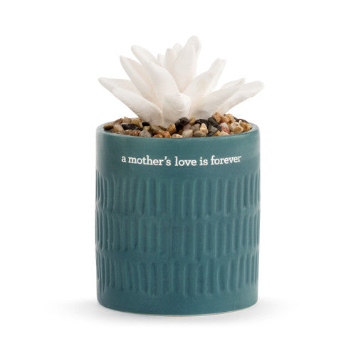 Succulent Oil Diffuser Mothers Love